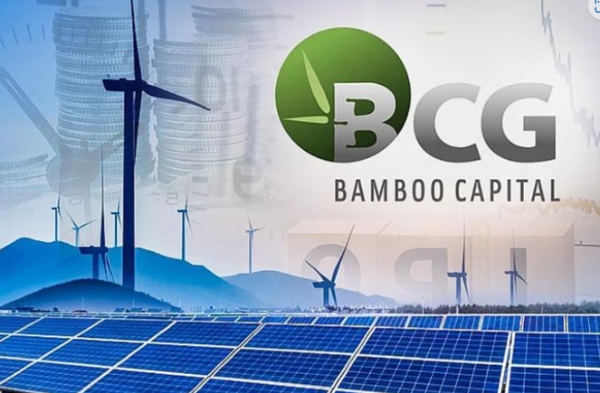 Bamboo Capital hạ sở hữu tại BCG Energy xuống dưới 50%